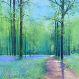 Bluestime Lockdown Walk SOLD