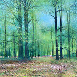 Lockdown Springwood SOLD