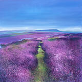 Path Through the Heather SOLD