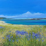 SCILLY AGAPANTHUS BLUE sold