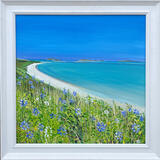 SCILLY AGAPANTHUS SOLD