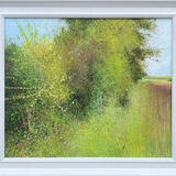 SUMMER HEDGE SOLD