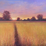 WALKING TOWARDS THE LIGHT Sold