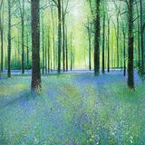 RENISHAW SPRING LIGHT