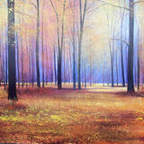Autumn Delight SOLD