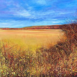 I can see the Castle Dad SOLD