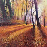 AUTUMN SHADOWS SOLD