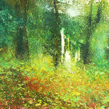 HOLLANDS WOODLAND WALK sold