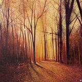 WALK TO THE GOLDEN LIGHT