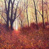 WHISPERING LEAVES SOLD