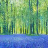 STROLLING THROUGH THE BLUES SOLD