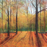 WHITLEY AUTUMN COLOURS