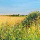 ACROSS THE FIELDS TO STEVES sold