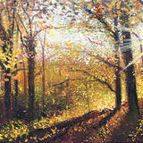 November 2026 Calendar