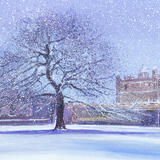 December 2026 Calendar