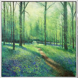 BLUEBELL WALK WITH BETTY SOLD