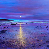 MOONRISE OVER THE BAY