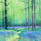 WALKING THROUGH BLUEBELLS