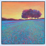 EARLY MORNING COLOUR