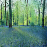 LADY SITWELL BLUES SOLD