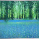 SPRINGTIME WALKTIME SOLD