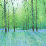 WALKING THROUGH THE BLUES