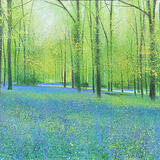 BETTY LOVES BLUEBELLS SOLD