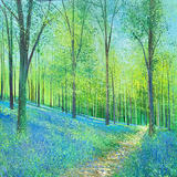 A PATH THROUGH THE BLUEBELLS SOLD