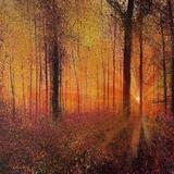 AUTUMN DAWN LIGHT sold