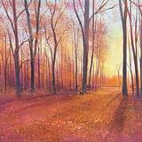 AUTUMN LIGHT sold
