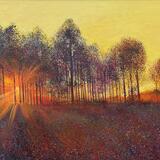 FIRELIGHT sold