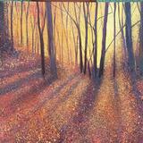 NIEPER WOODLAND WALK