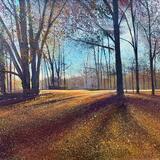 NOVEMBER MORNING LIGHT