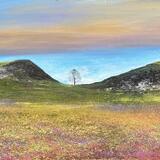 SYCAMORE GAP SOLD
