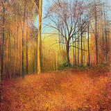 GOLDEN LIGHT OF AUTUMN