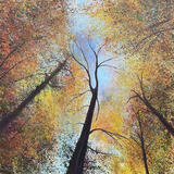 THINGS ARE LOOKING UP