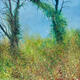 FIELD EDGE