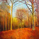 GOLDEN LIGHT