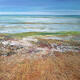 IN THE SHINGLE