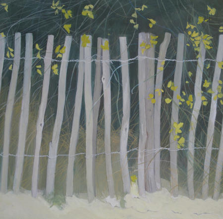 Fence with Yellow flowers