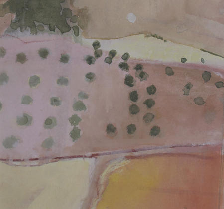 Olive grove,Pink field