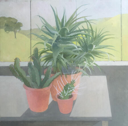 Cacti in the greenhouse 