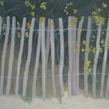 Fence with Yellow flowers