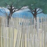 Dunes, pines and palings