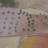Olive grove,Pink field
