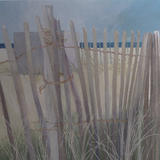 Holkham beach grasses
