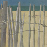 Beach Fencing