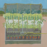 Sprinkler, Hyde Hall