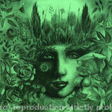 How does your garden grow