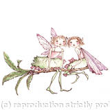 fairies